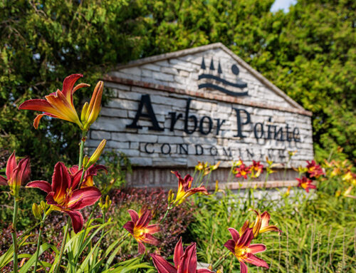 Arbor Pointe Condominiums